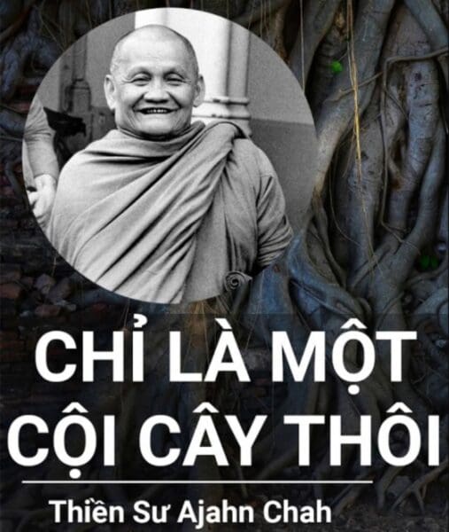 maithengoc.com_Chỉ là một cội cây thôi-Ajahn Chah