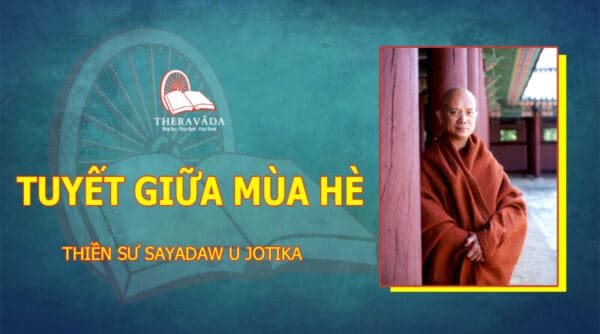 Tuyet giua mua He maithengoc.com